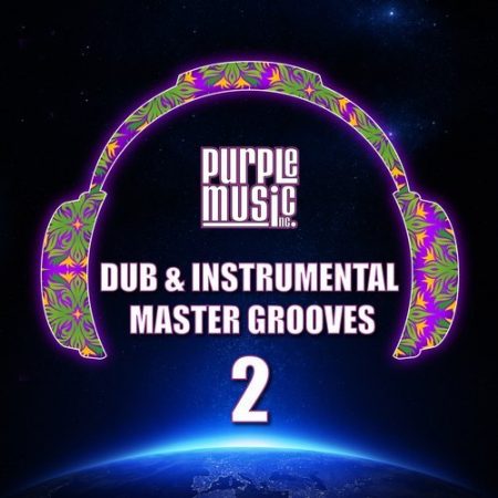 VV.AA/ DUB & INSTRUMENTAL MASTER GROOVE  VOL. 2