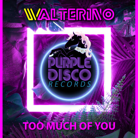 Walterino - Too Much Of You