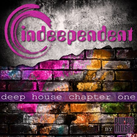 VV.AA/ DEEP HOUSE CHAPTER ONE